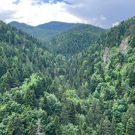 Arboro Borovets Gardens E68 Διαμέρισμα Εξωτερικό φωτογραφία