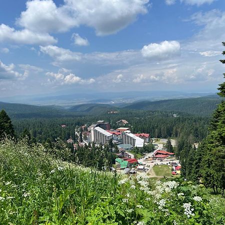 Arboro Borovets Gardens E68 Διαμέρισμα Εξωτερικό φωτογραφία