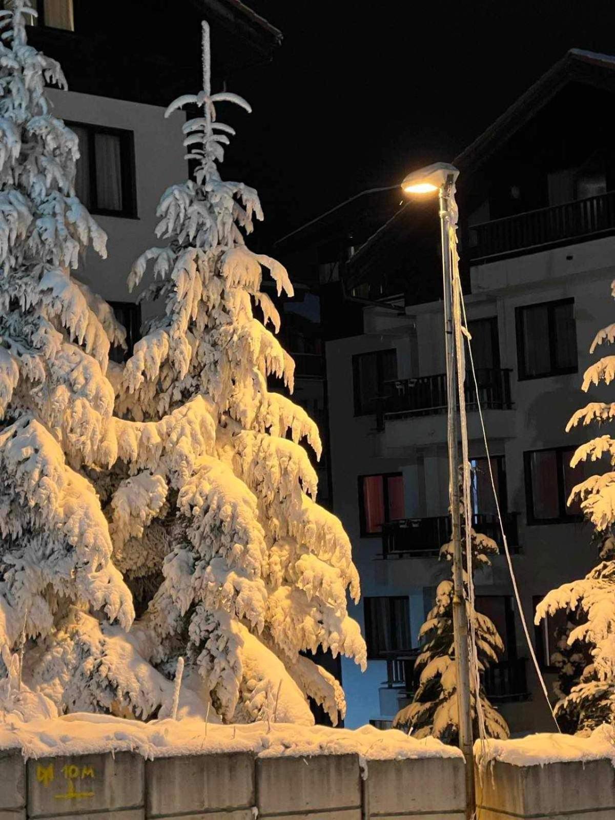 Arboro Borovets Gardens E68 Διαμέρισμα Εξωτερικό φωτογραφία