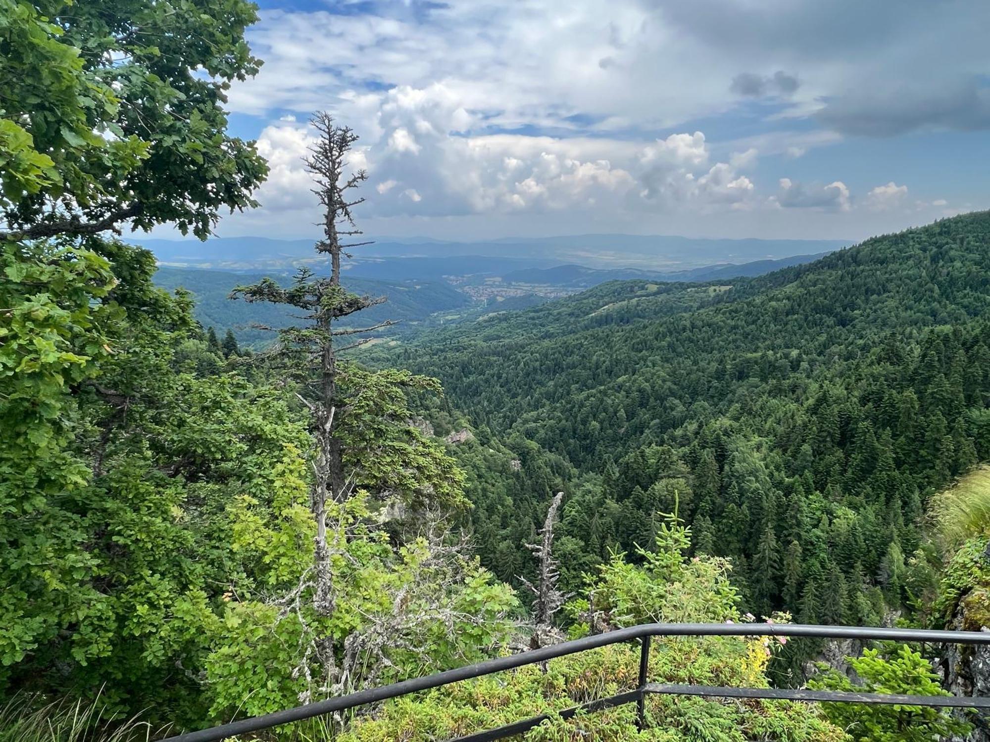 Arboro Borovets Gardens E68 Διαμέρισμα Εξωτερικό φωτογραφία