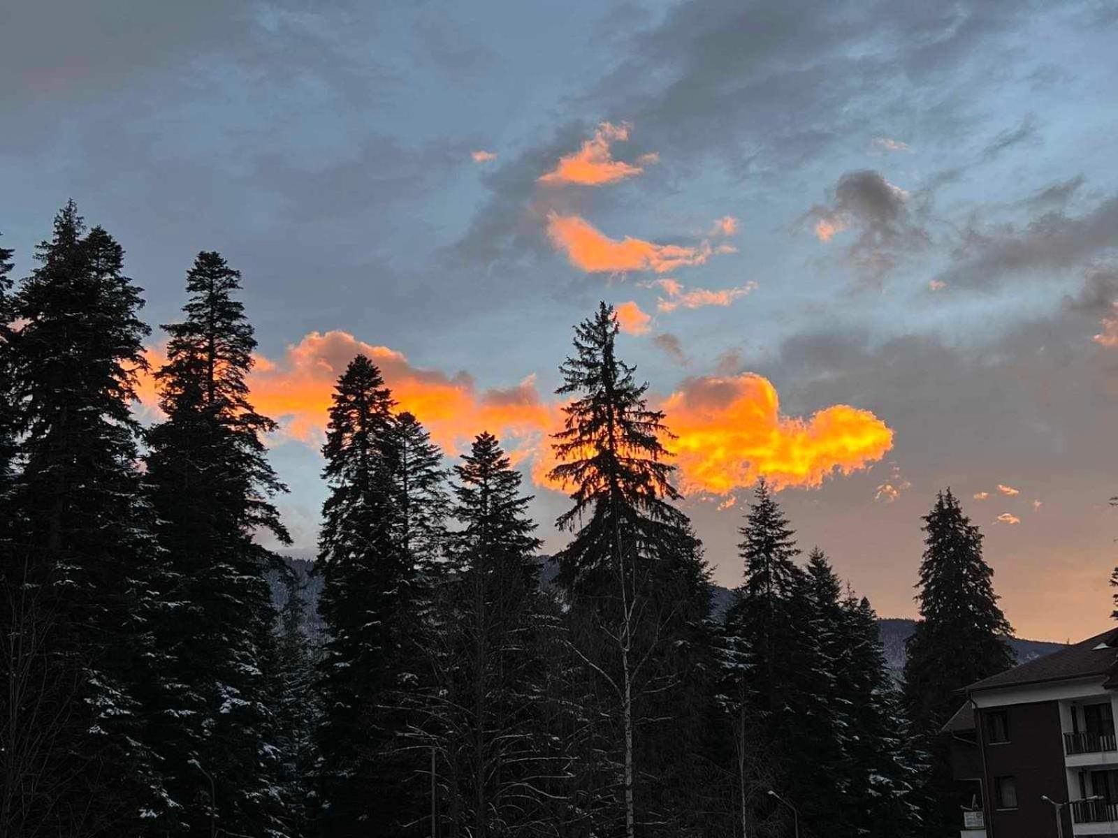 Arboro Borovets Gardens E68 Διαμέρισμα Εξωτερικό φωτογραφία
