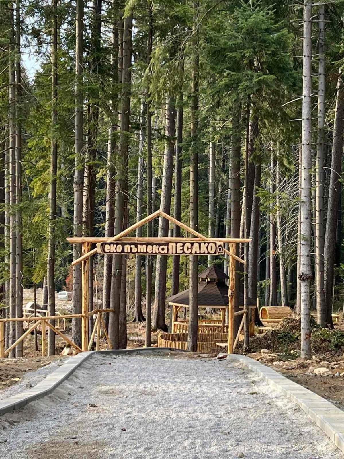 Arboro Borovets Gardens E68 Διαμέρισμα Εξωτερικό φωτογραφία