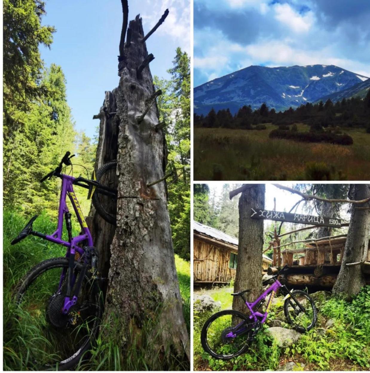 Arboro Borovets Gardens E68 Διαμέρισμα Εξωτερικό φωτογραφία